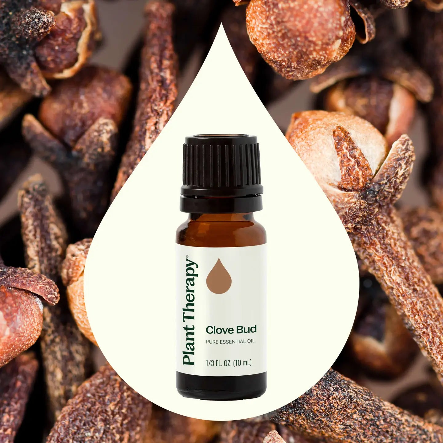 Clove Bud Essential Oil 10 Ml
