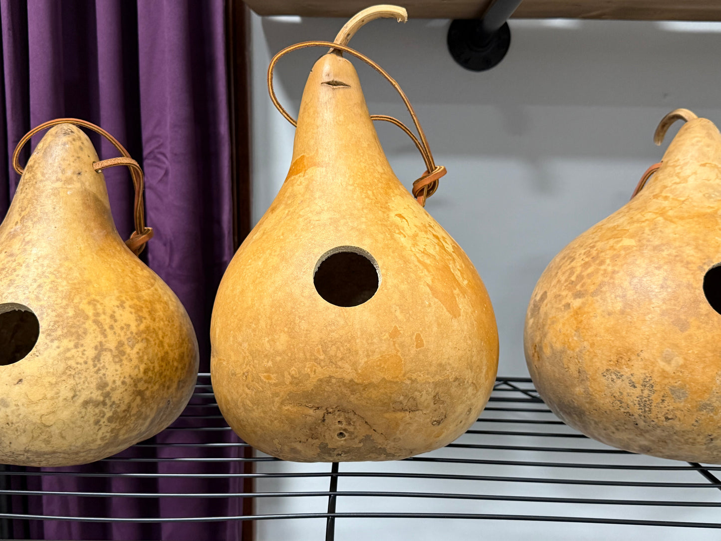 Gourd Birdhouse Painting Event`