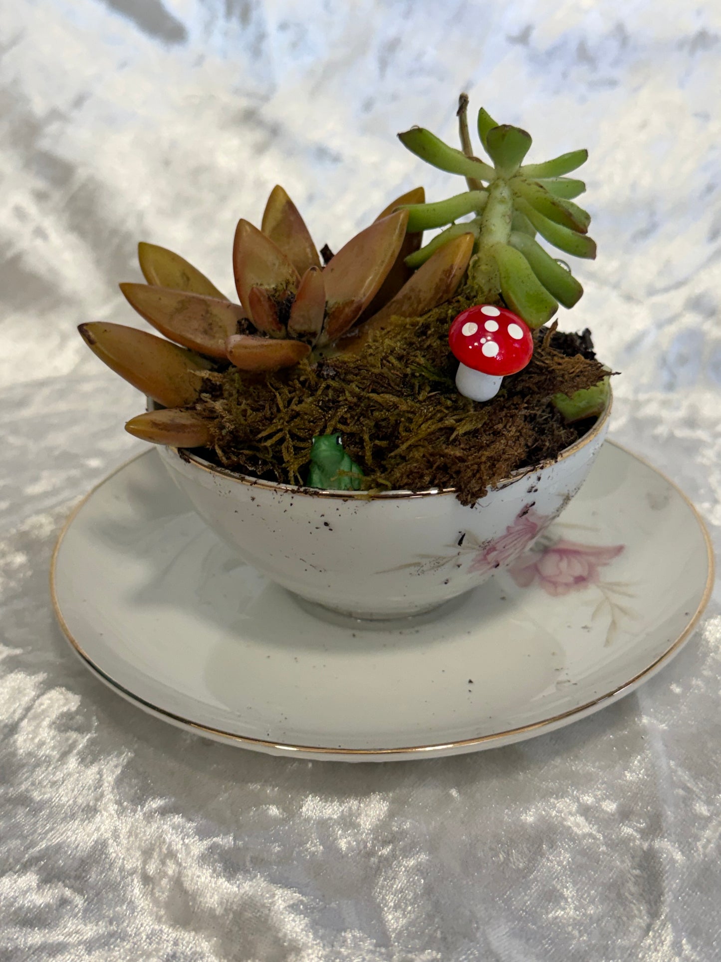 Vintage Teacup Succulent Class – Create Your Own Mini Garden