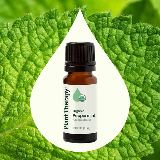 Organic Peppermint Essential Oil 10 Ml