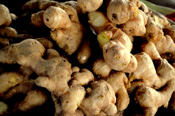Ginger Root (Cut & Sifted) – Loose Apothecary Herb