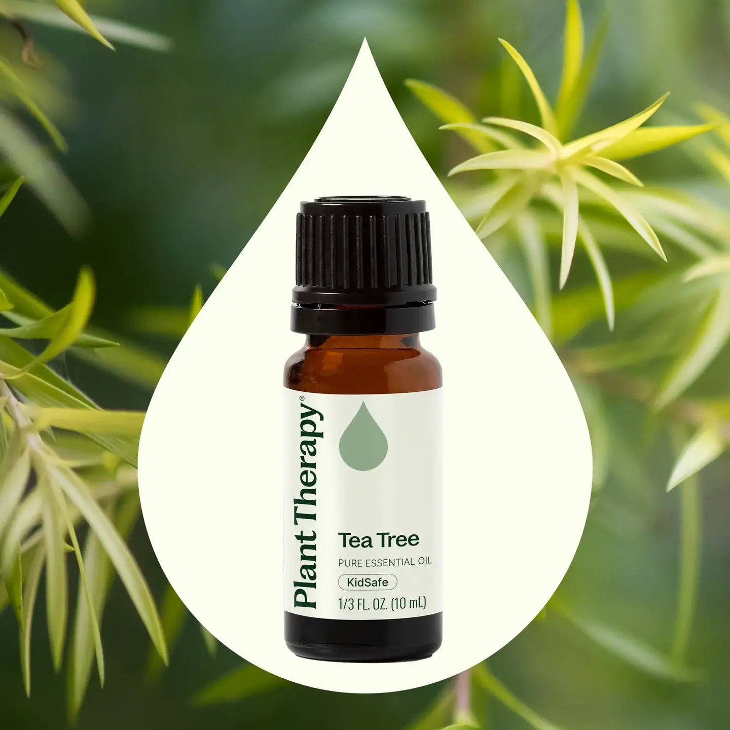 Tea Tree Essential Oil 10 Ml