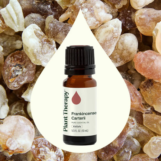 Frankincense Carterii Essential Oil 10 Ml