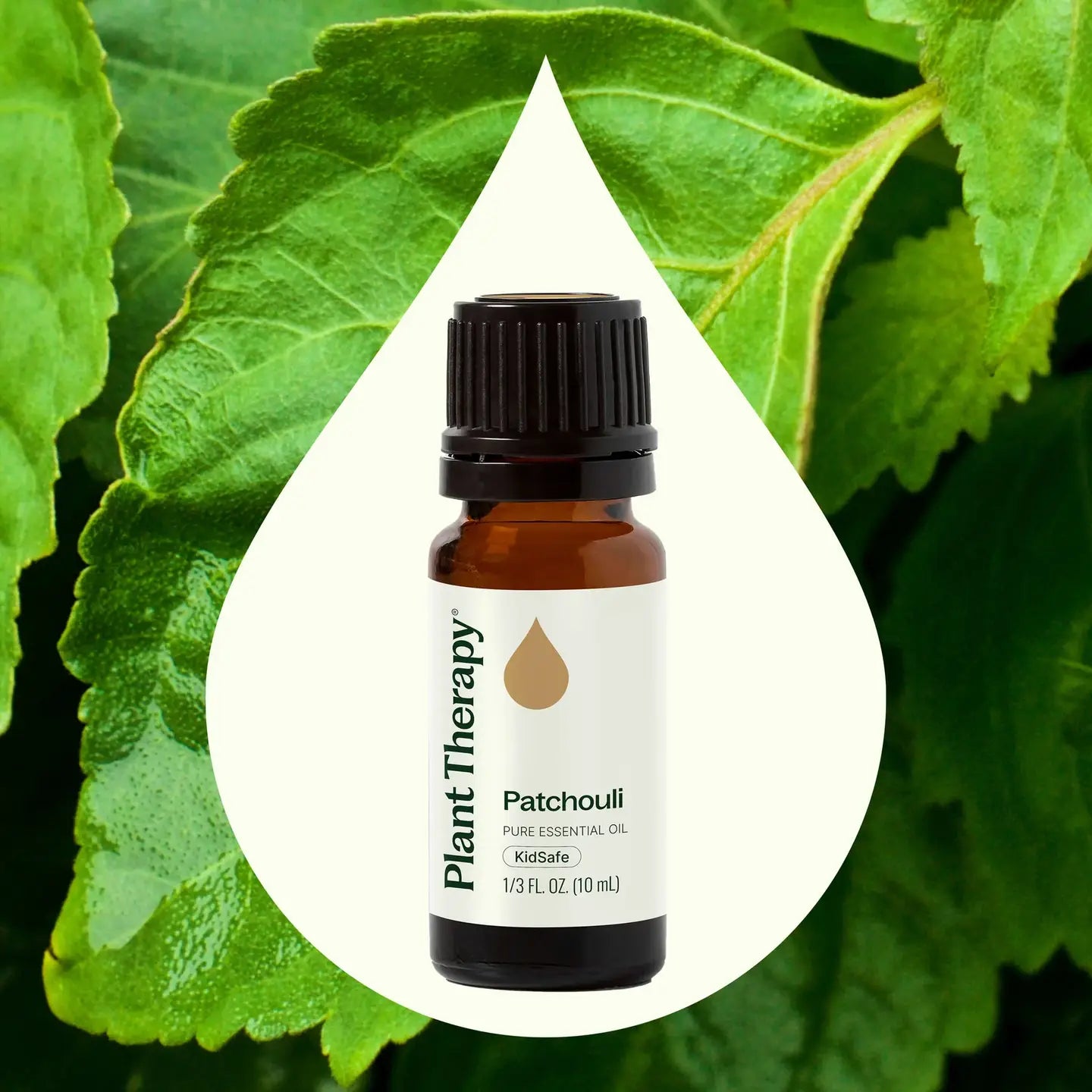 Patchouli Essential Oil 10 Ml