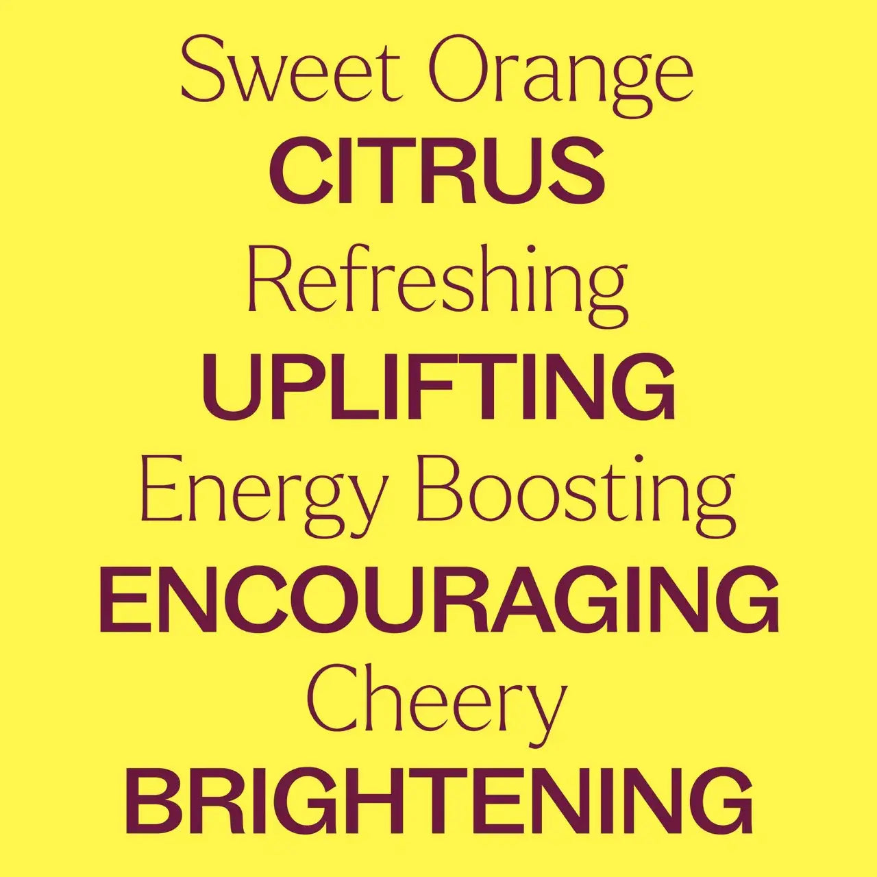 Sweet Orange Essential Oil 10 Ml