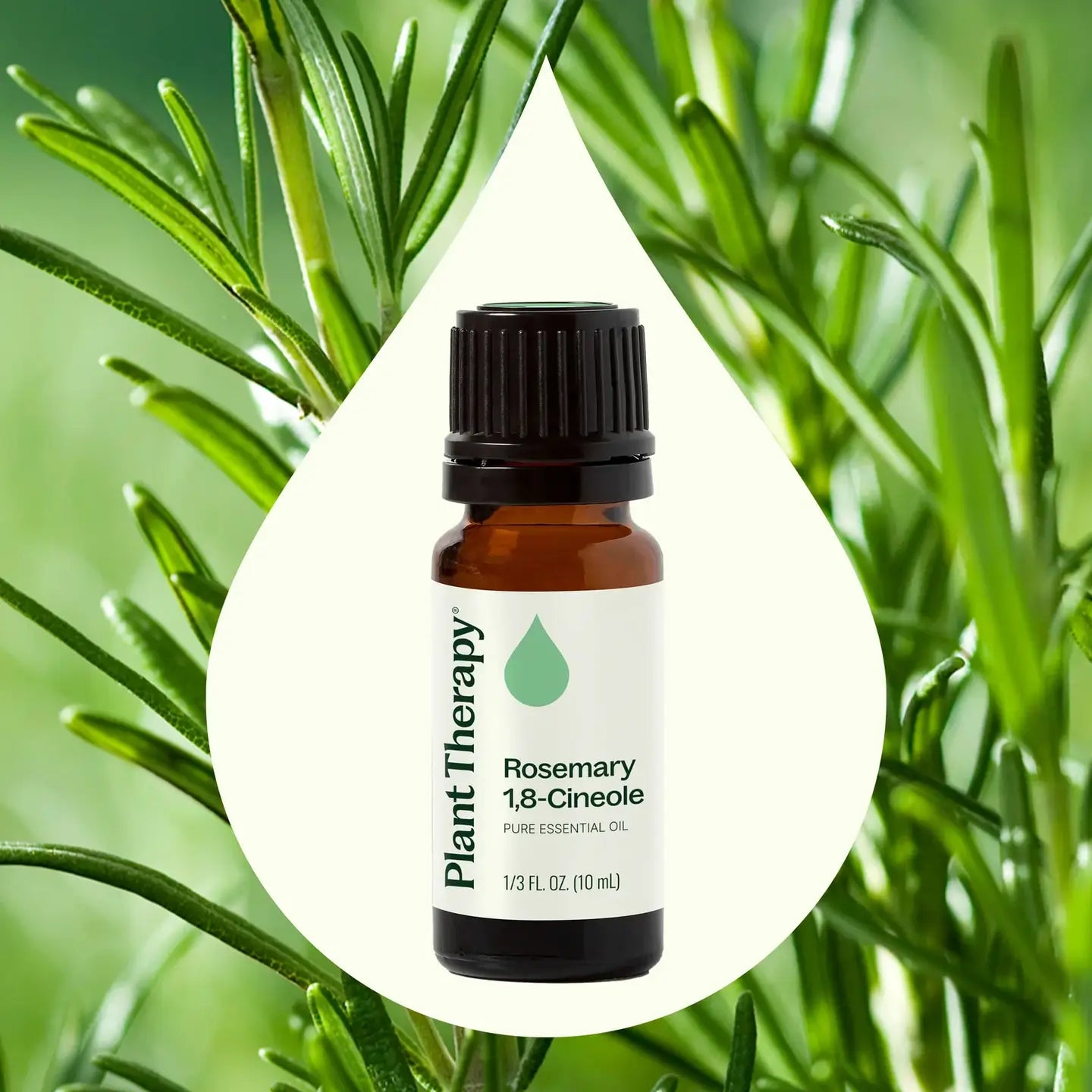 Rosemary 1,8-Cineole Essential Oil 10 Ml