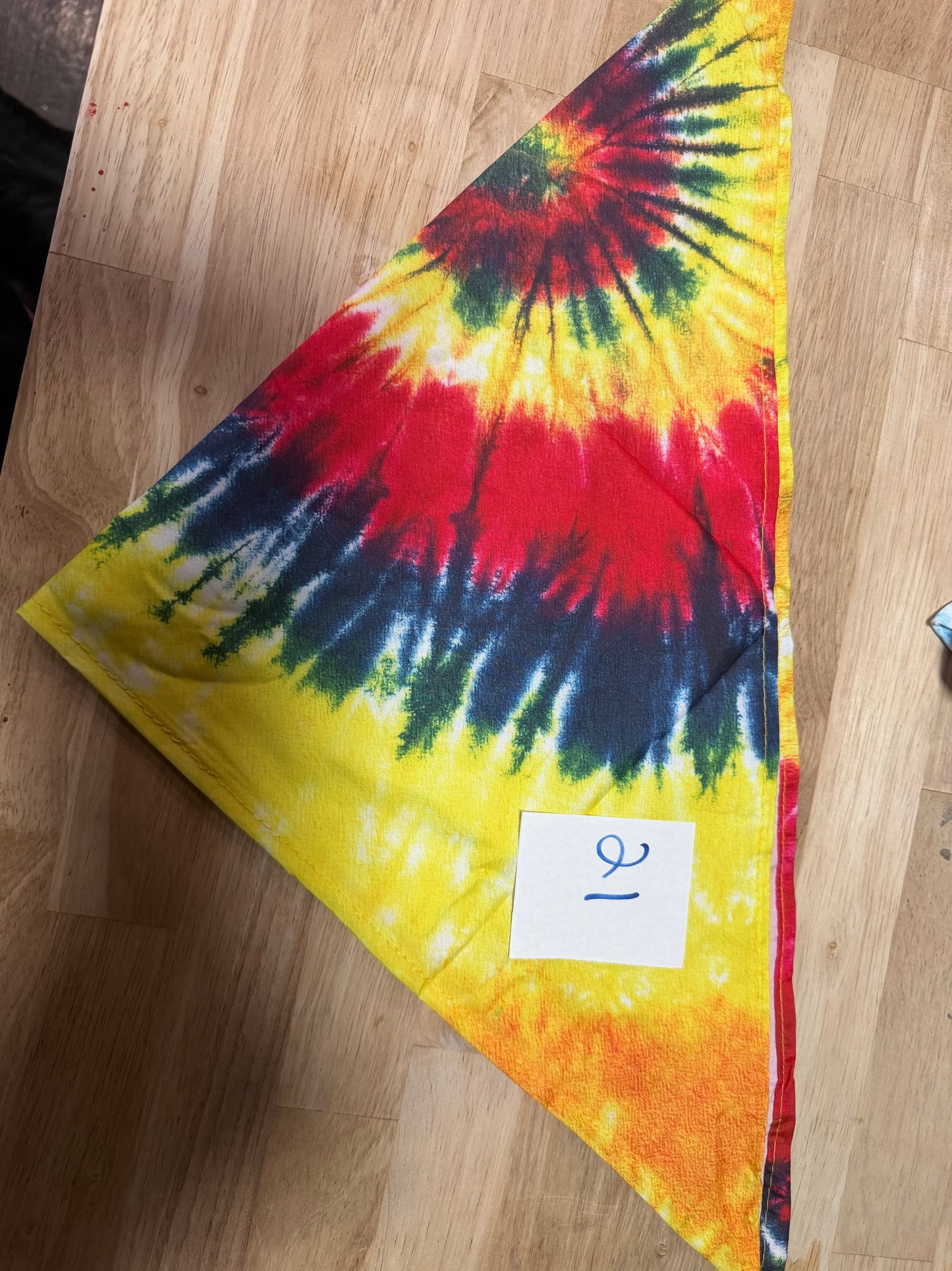 Personalized Pet Bandana – Custom Name |
