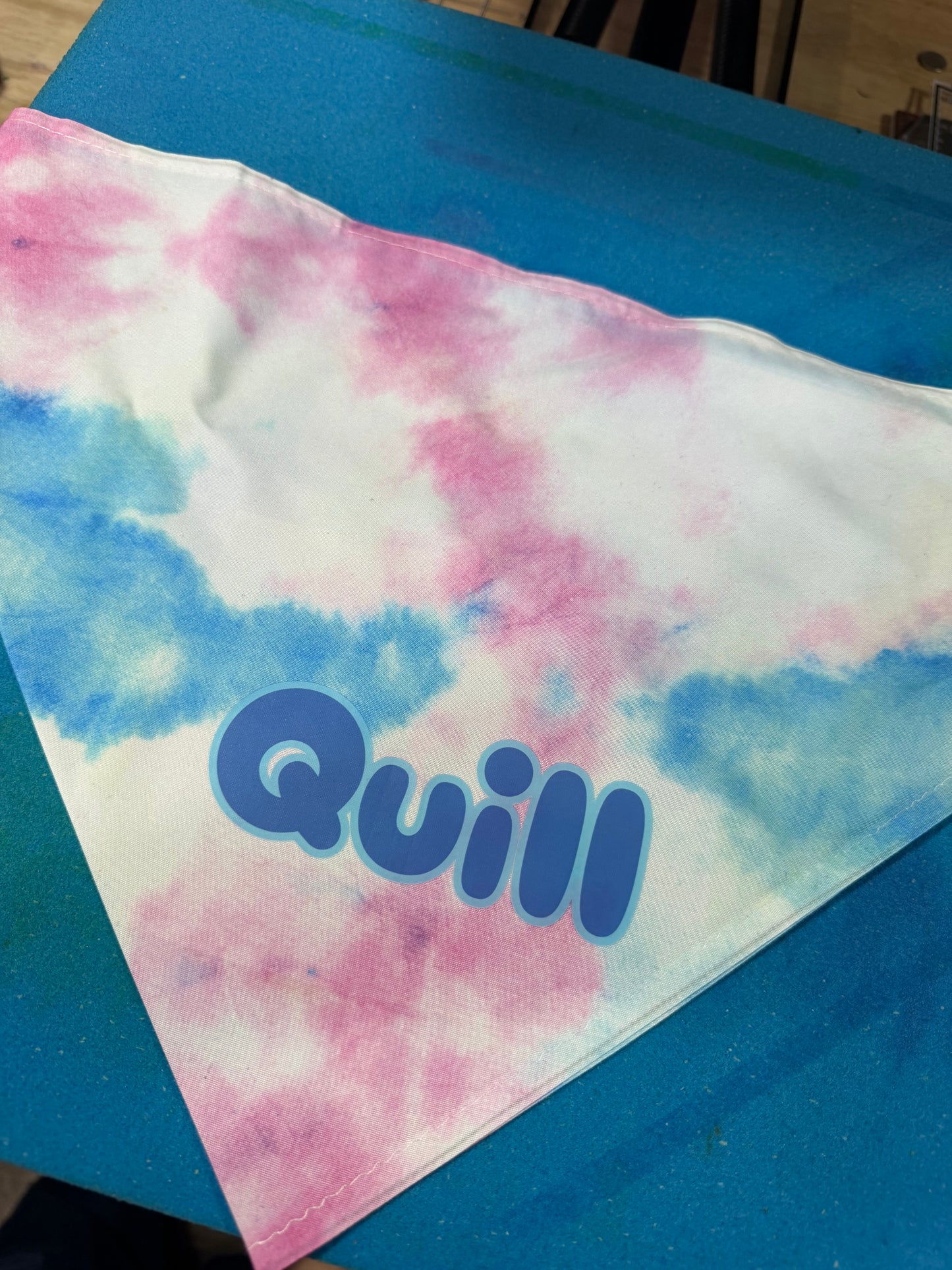 Personalized Pet Bandana – Custom Name |