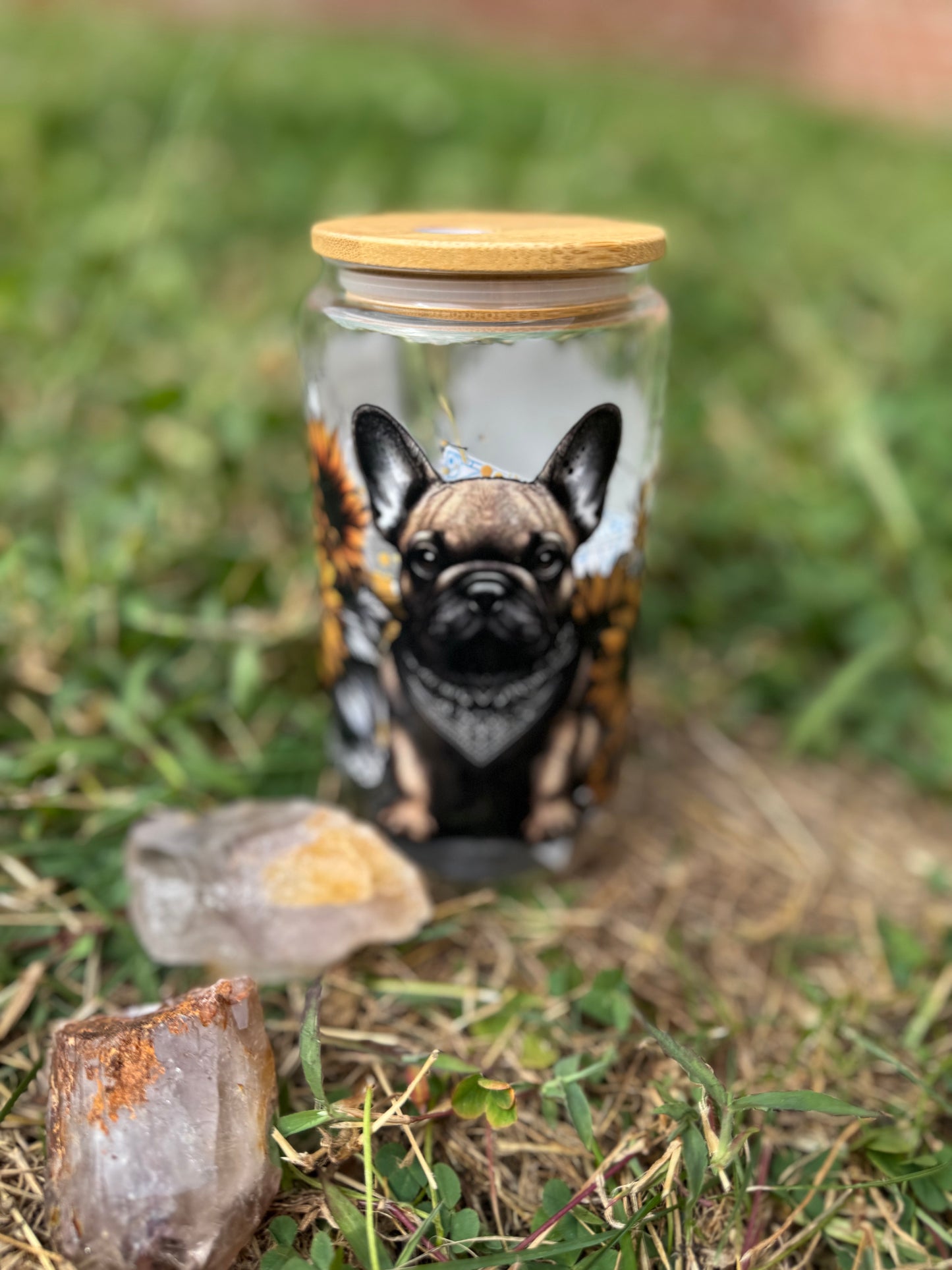 16oz Glass Can Tumblers