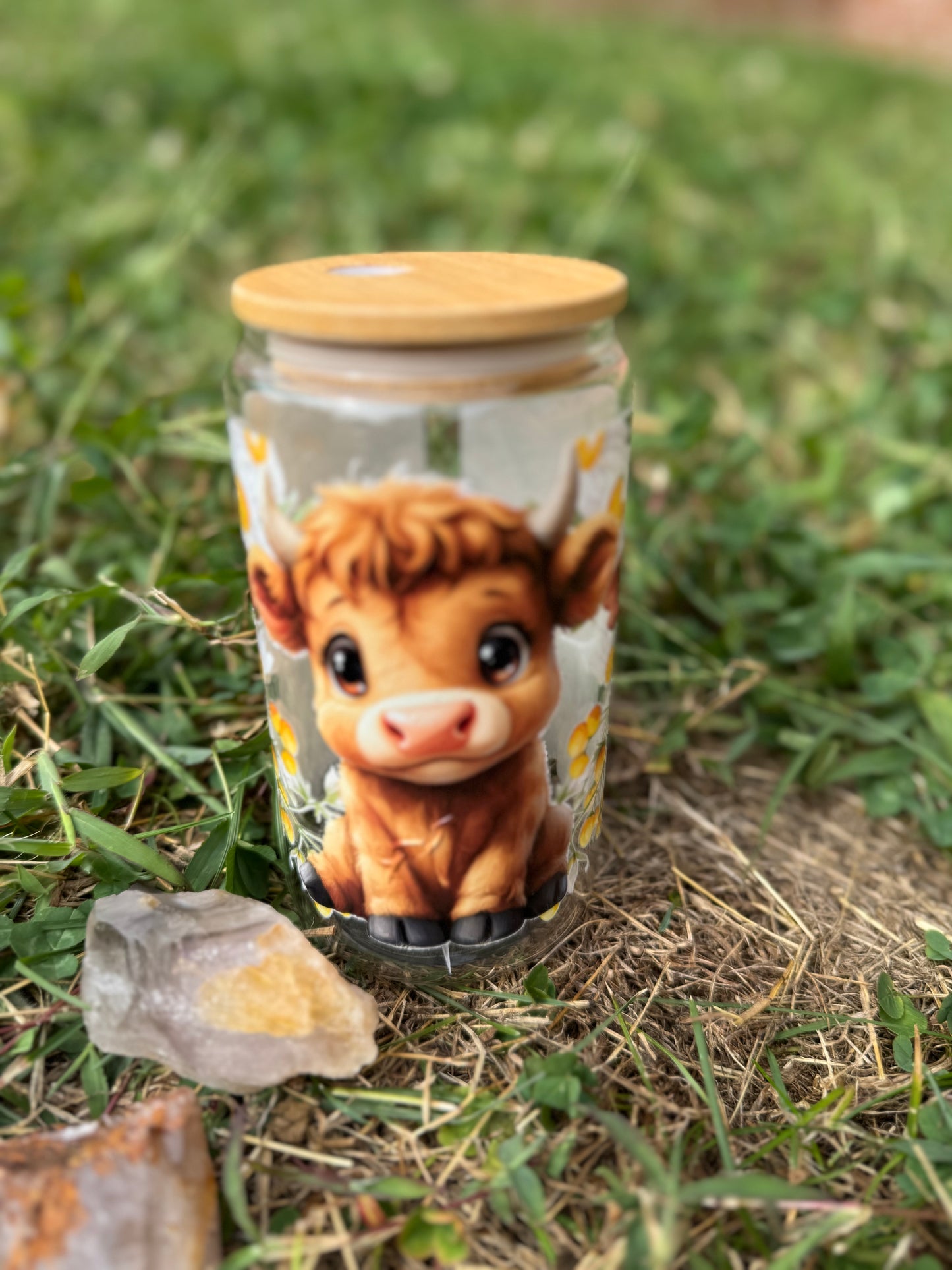 16oz Glass Can Tumblers