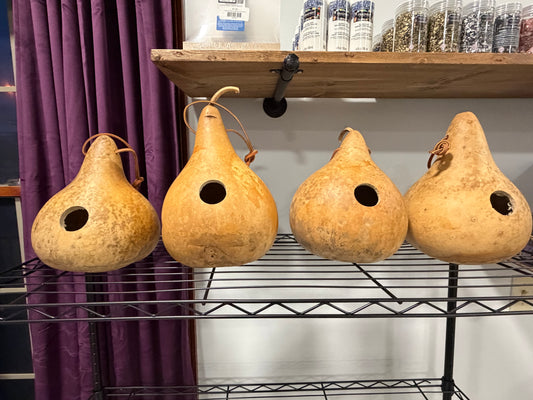 Gourd Birdhouse Painting Event`