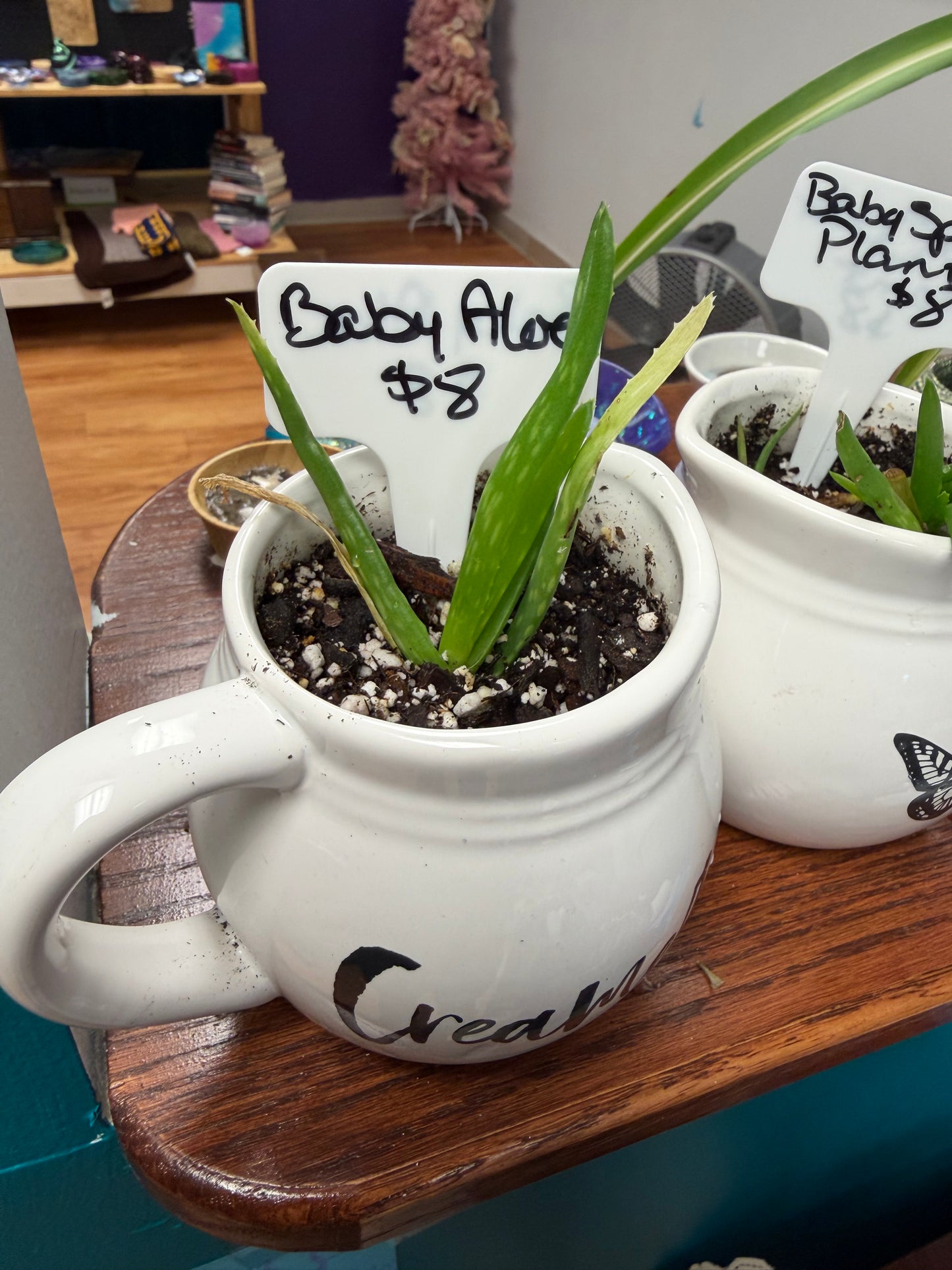 Plants by Heather