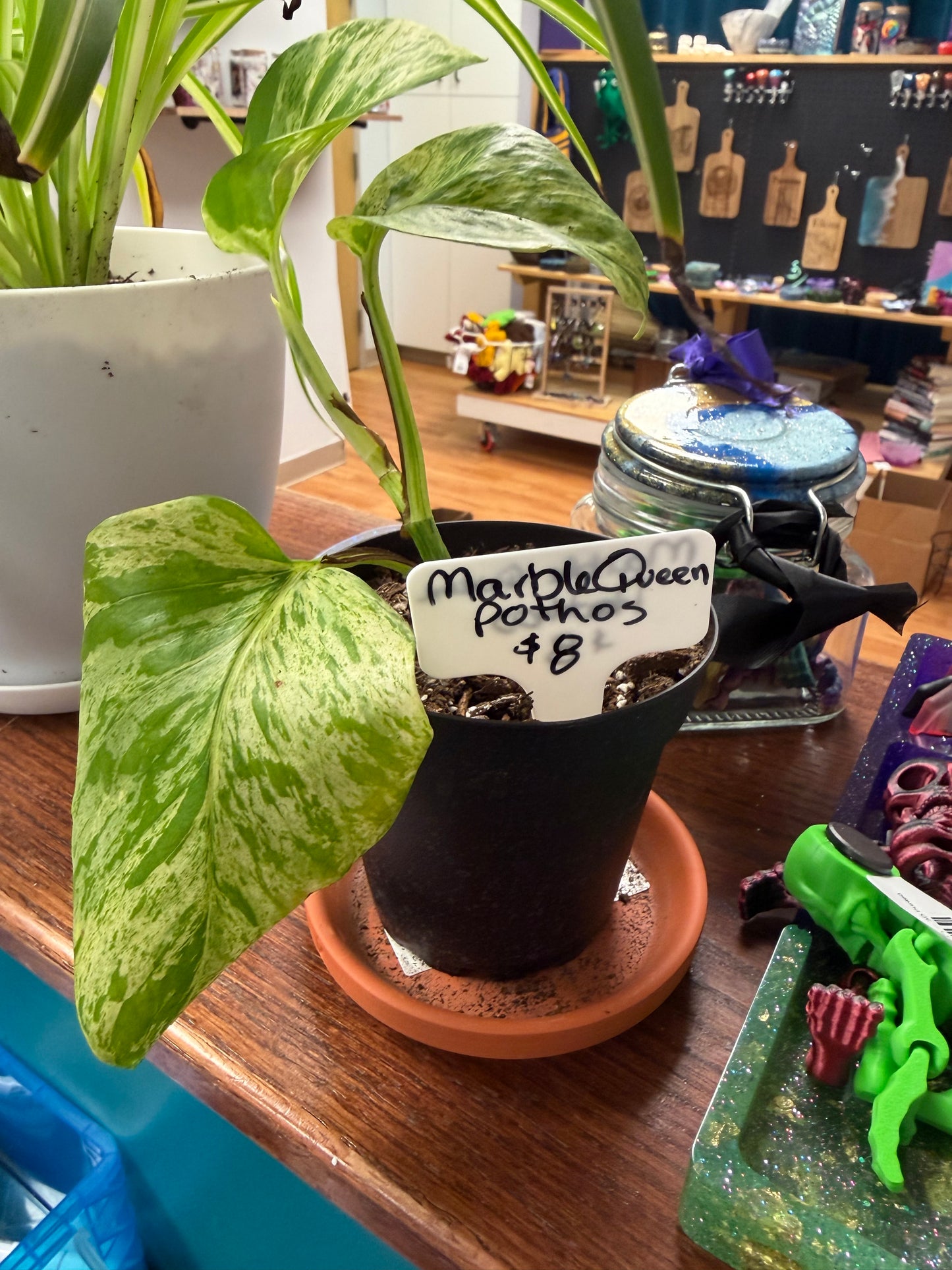 Plants by Heather