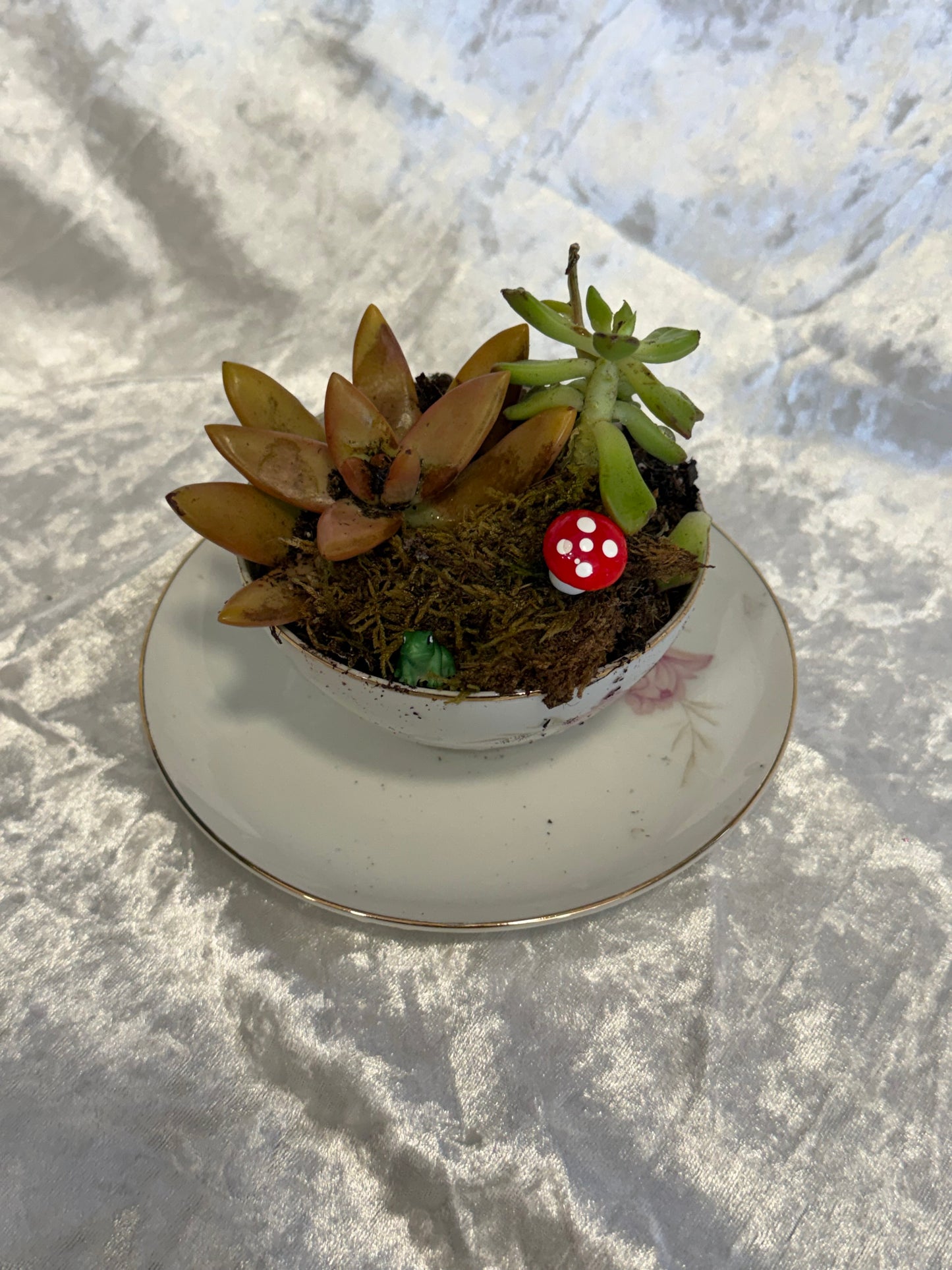 Vintage Teacup Succulent Class – Create Your Own Mini Garden
