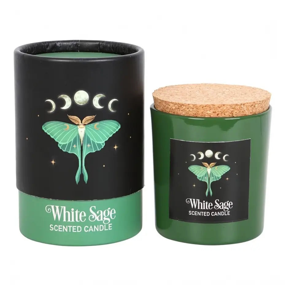 Dark Forest Luna Moth White Sage Candle