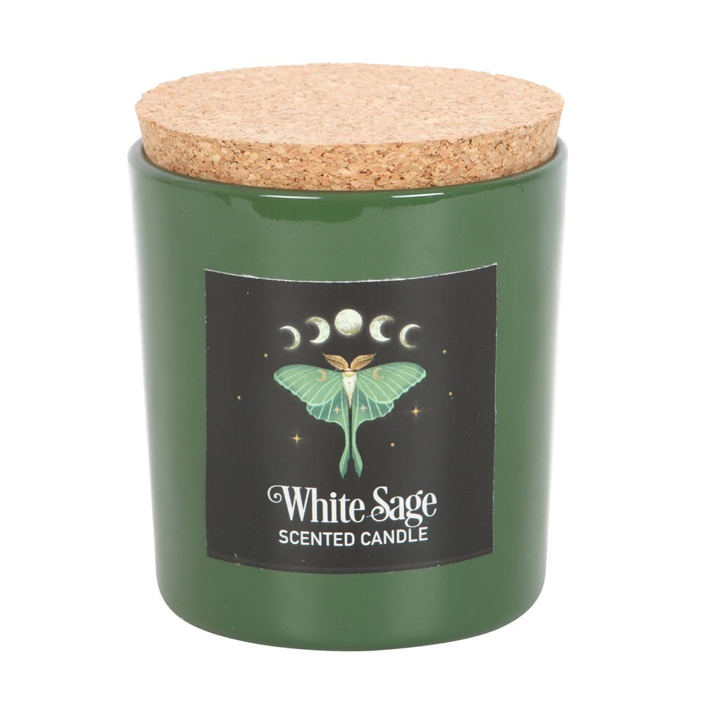 Dark Forest Luna Moth White Sage Candle