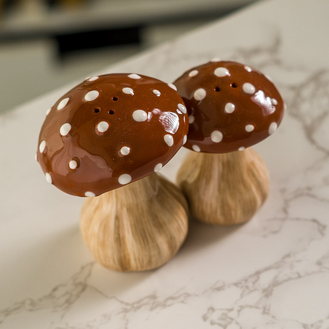 Ceramic Toadstool Salt & Pepper Shaker Set