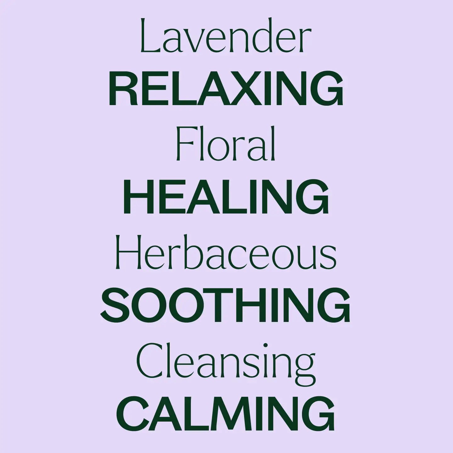 Lavender Essential Oil 10 Ml
