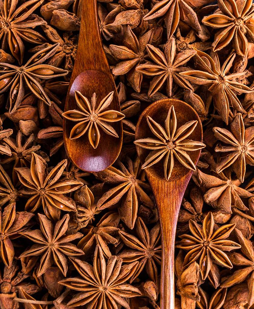 Star Anise (Whole) – Loose Apothecary Spice