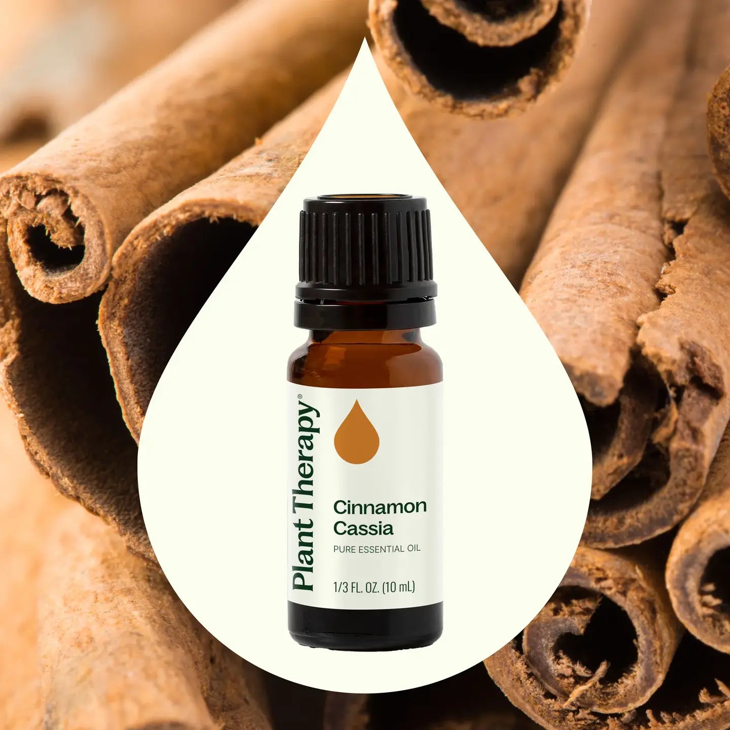 Cinnamon Cassia Essential Oil 10 Ml