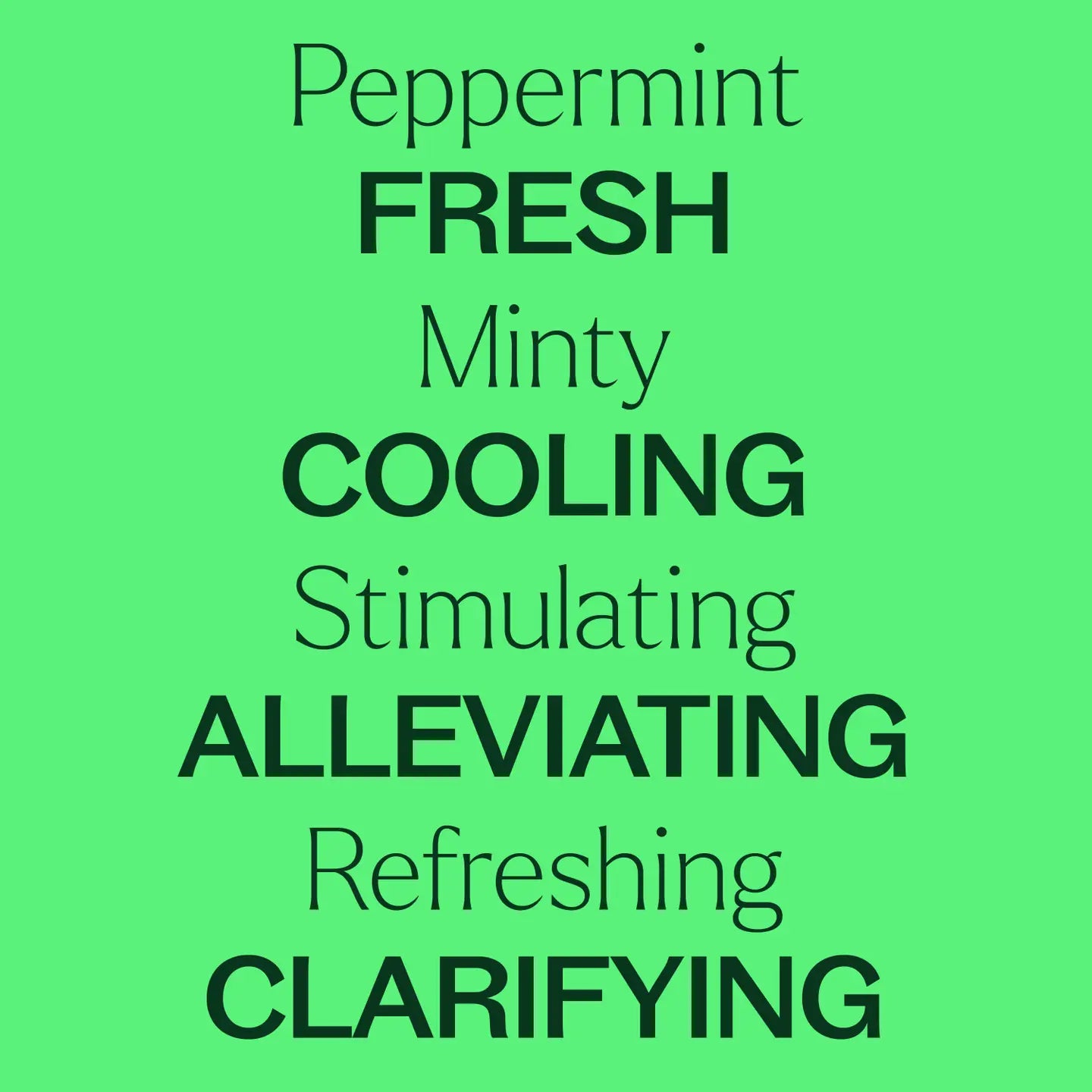 Peppermint Essential Oil 10 Ml