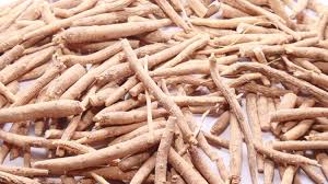 Ashwagandha Root (Cut & Sifted) – Loose Herb